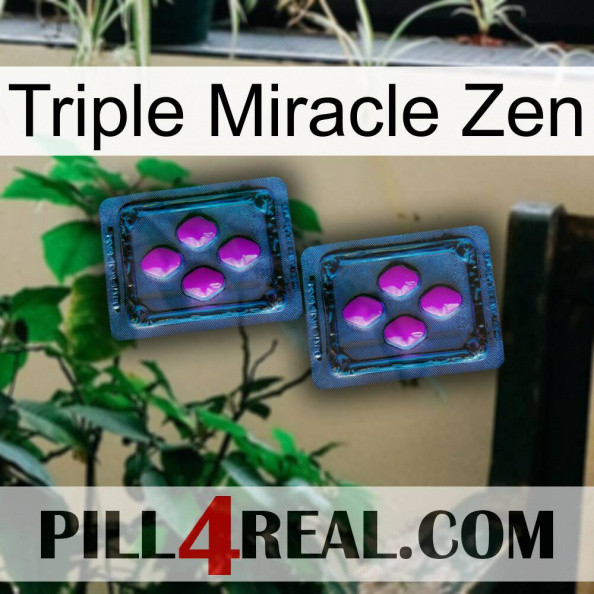 Triple Miracle Zen 03.jpg